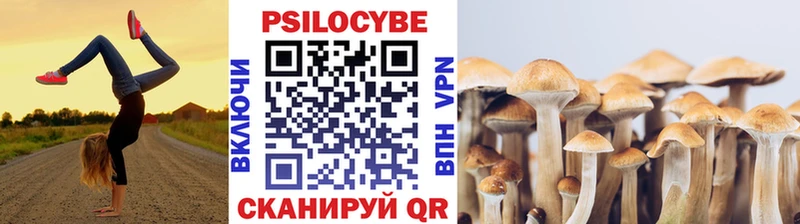 дарнет шоп  Томилино  Псилоцибиновые грибы прущие грибы 